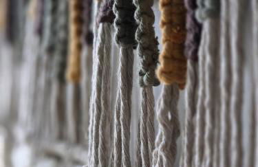 El Pinsapo - Foto 30