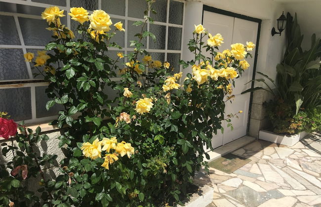 Two Bedroom Self Contained House - Photo 45