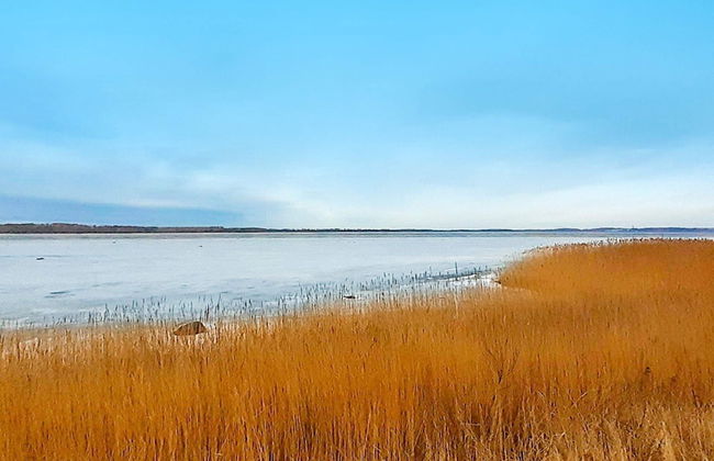 6 Person Holiday Home in Jaegerspris - Photo 27