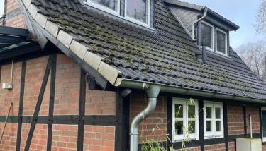 Haus am Teich - Foto 4