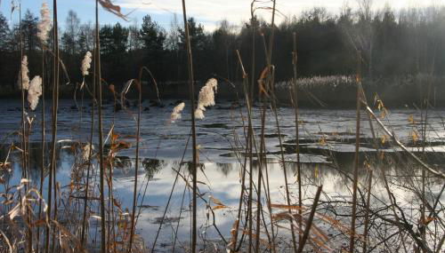 Ferienhaus "Ullersdorfer Teiche" - Foto 5