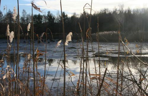 Ferienhaus "Ullersdorfer Teiche" - Foto 5