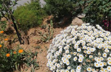 Elva Creta - Foto 42