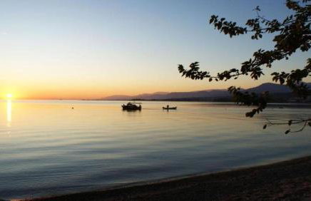 Sunshine Home - Peaceful Garden Escape & Parking - Foto 22