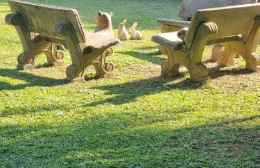 Sítio Refúgio do Lobo - Foto 27