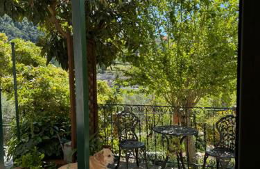 “Da Gio” in un antico borgo di Genova - Foto 10