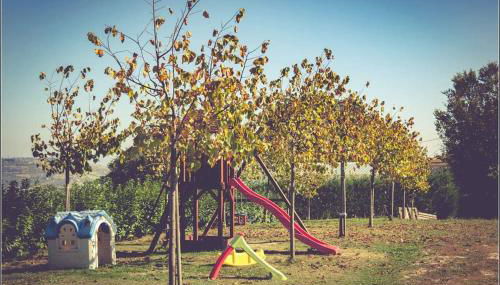 Agriturismo Colle Tripio - Foto 4