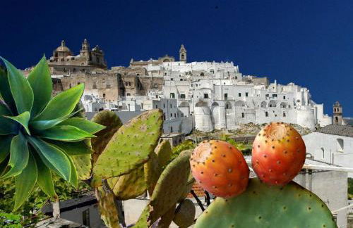 Agriturismo Salinola - Foto 140