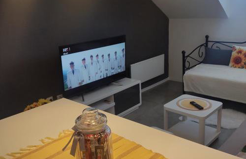 Studio apartman Laura - Foto 42