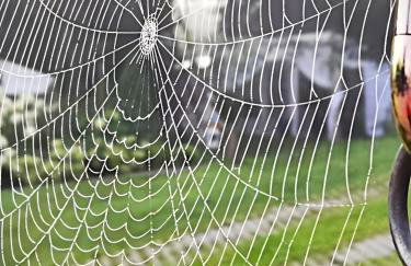 Wrzosowy Młyn - Twoje miejsce nad Jeziorem - Foto 53