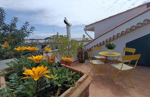 Casa Olivella - Foto 7