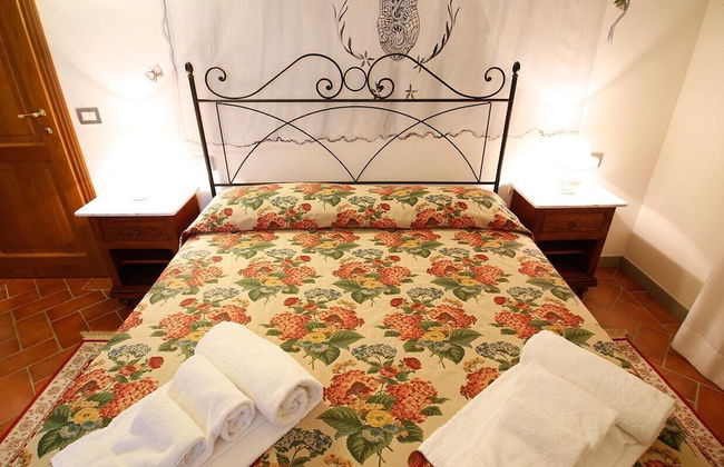 Gatto Bianco Tizzauli - Foto 8