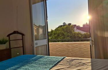 Flor de Laranjeira - Foto 9