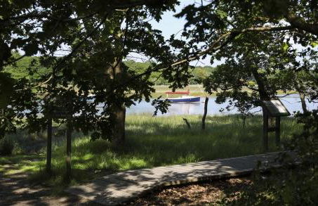 Pylewell Park House - Foto 44