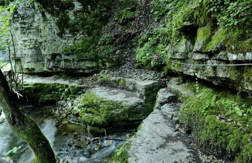 Ferienhaus Lindenglück - Foto 19