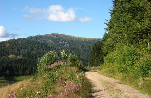 Ferienwohnung 'auf dem Burstel' - Photo 18