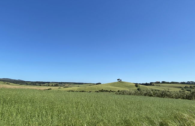 La Carraia - Foto 46