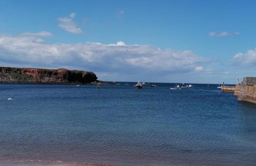 3-Bed Lodge with SeaView-Fireplace-Garden-FreeP - Photo 29