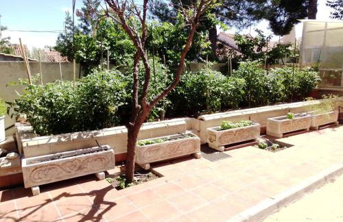 La Rosaleda de Orgaz - Foto 19