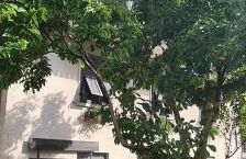 Bioledro - Casa Lena - Foto 16