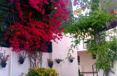 Apartamento Oasis - Foto 22