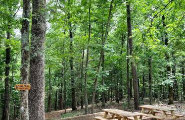 Eagles Bluff Views of Beaver Lake - Foto 46