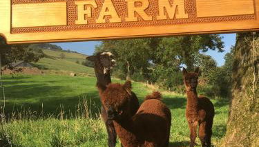 Naze View Barn - Cosy, with all mod cons - Foto 2