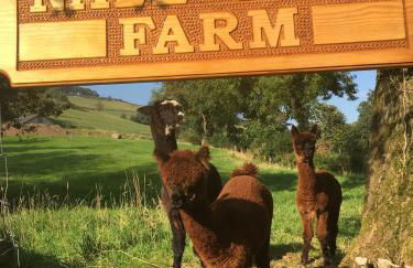 Naze View Barn - Cosy, with all mod cons - Photo 2