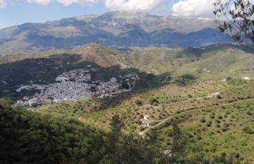 Villa yasleni - Foto 43