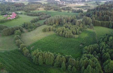 GLAMP GLAMOUR***** - Foto 31