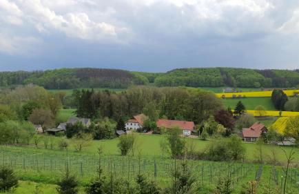 FeWo Harling - Waldoase - Foto 30