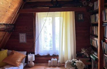 Wilczkiewiczówka - Bieszczadzki Azyl - Photo 9