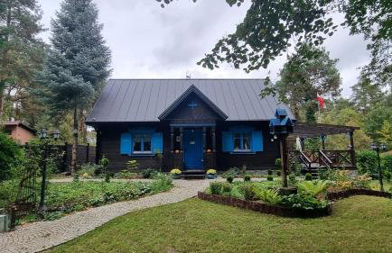 Niezapominajka - Foto 34