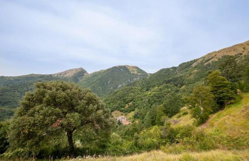 Campanella - Foto 14