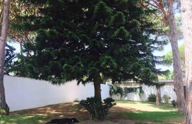 Villa Verde con Piscina a 800m de la Playa by Chiclana Dreams - Foto 30