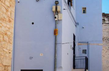 Rosa azzurra - Foto 37