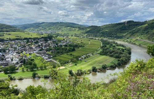 vakantiehuismoezel - Foto 16