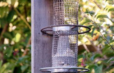 La casa de La Cartita - Foto 10