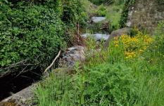 Coach House, Middleton Hall Estate - Foto 30