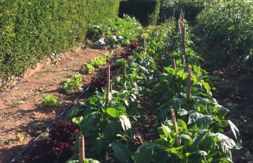 Mirador De Picos - Foto 7