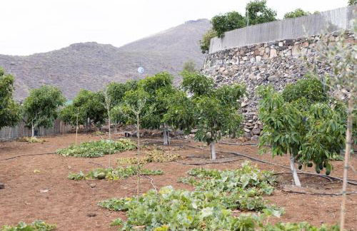 Home2Book Fantasy Villa & Nature, Private Pool - Foto 49