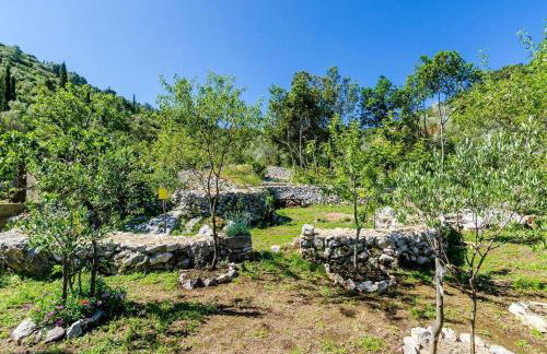 Apartments with parking space Korita, Mljet - 22342 - Foto 13