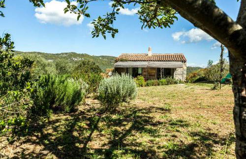 Stazzo La Casedda - Foto 21