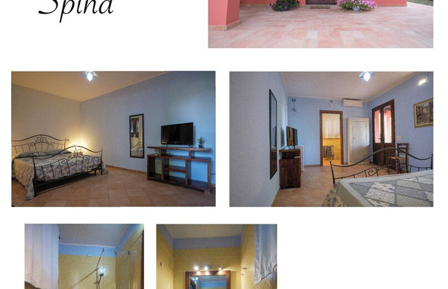 Agriturismo Niccoland - Foto 19