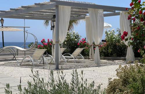 Summer Vibes - Photo 8