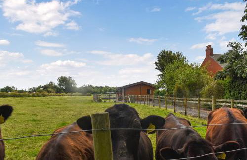 Chestnut Lodge - Foto 15