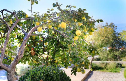 Apartment Vincent with beautiful sea view terrace - Foto 32