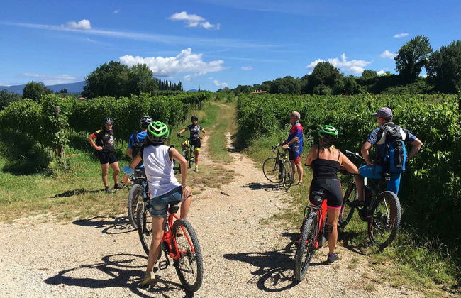 Tour dei vigneti di Lazise in bici elettrica + Degustazione di vino - Foto 1