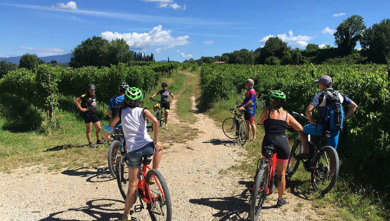 E-bike tour through the vineyards of Lazise