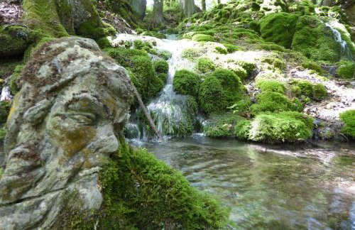 Müller's Ferienwohnungen - Foto 31